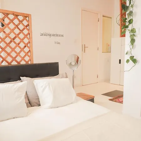 Apartment Fixinginn In Santa Isabel *